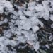 7 Effective Tips to Safeguard Your Head and Home from Hail