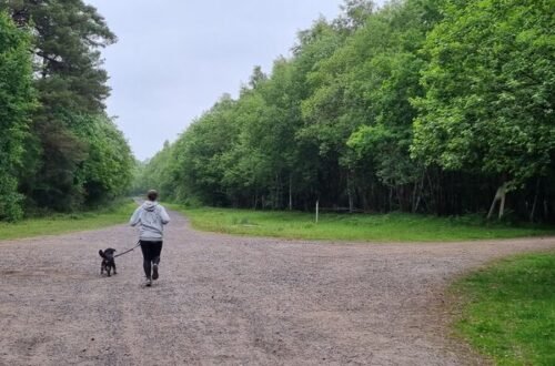 Am I a Real Runner? The Value of Every Pace