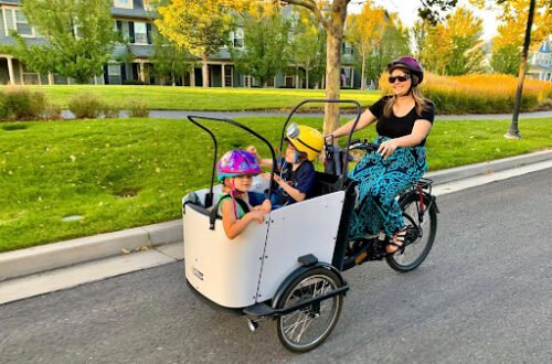 The Ultimate Guide to Choosing the Best Family Cargo Bike: Options and Benefits