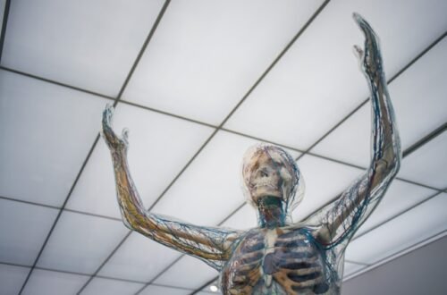 Healthy Circulation: The Key to Whole