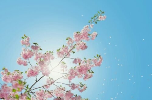 Stay Safe in the Summer Sun with These 4 Simple Outdoor Tips