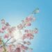 Stay Safe in the Summer Sun with These 4 Simple Outdoor Tips