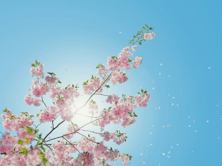 Stay Safe in the Summer Sun with These 4 Simple Outdoor Tips