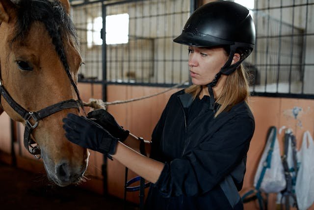 The Significance of Bridles in Horse Riding